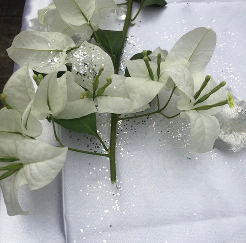 MARIAGE - OvengLodge
