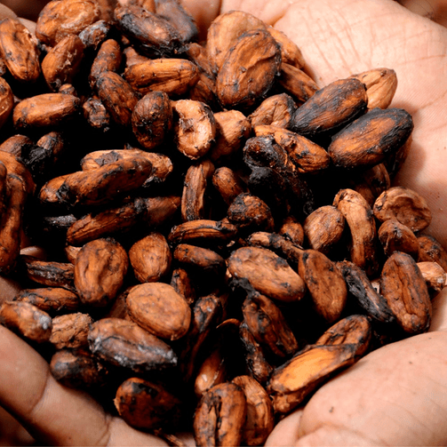 GOMMAGE DU CORPS AU CACAO - OvengLodge