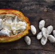ATELIER CACAO - OvengLodge