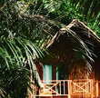 NGAMANI